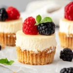 Mini Protein Cheesecakes