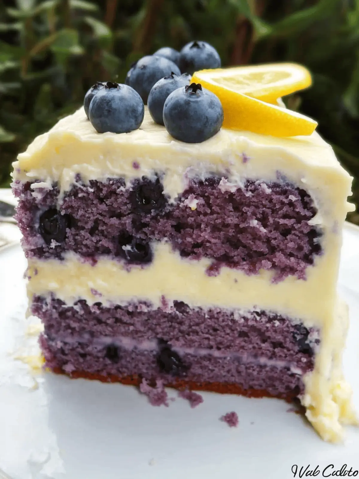 Blueberry Cake with Lemon Cream Cheese Frosting